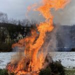 Entsorgung Weihnachtsbäume