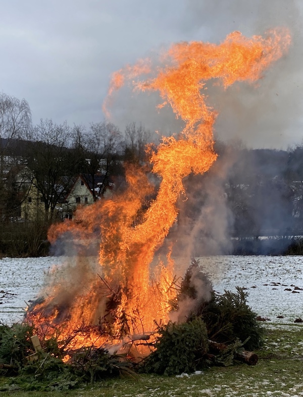 Entsorgung Weihnachtsbäume